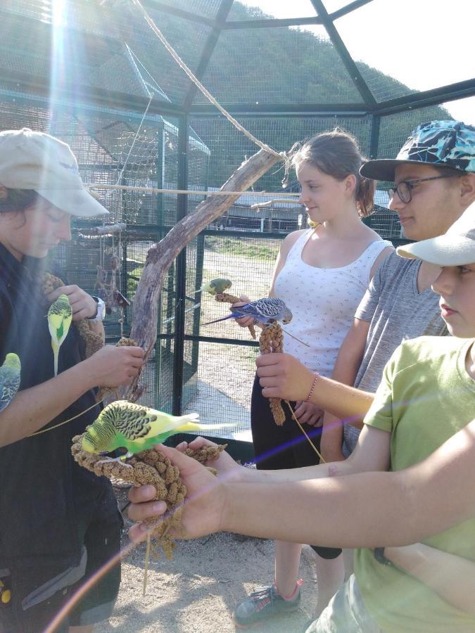 杜谢Parc Animalier Du Herisson别墅 外观 照片