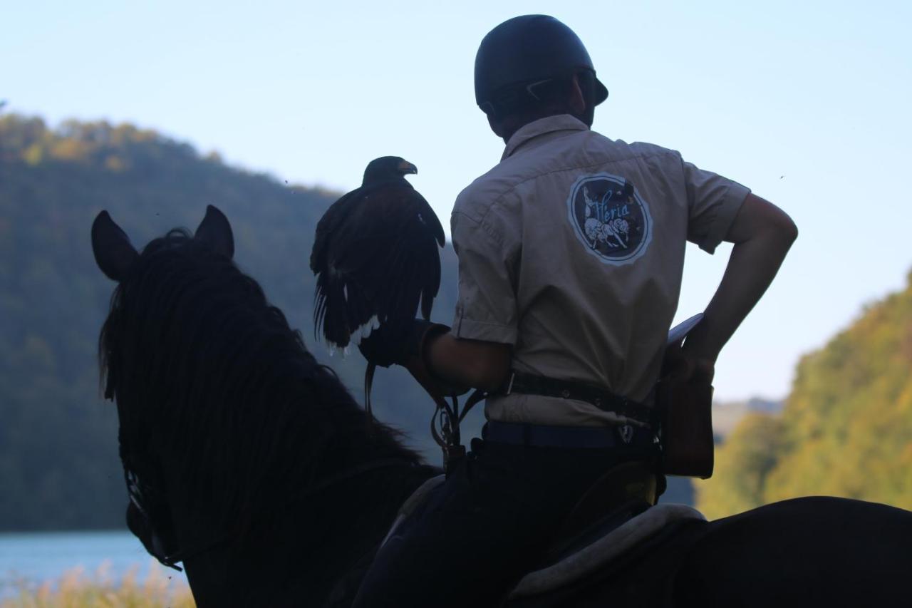 杜谢Parc Animalier Du Herisson别墅 外观 照片