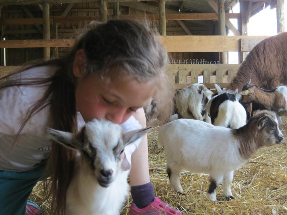 杜谢Parc Animalier Du Herisson别墅 外观 照片